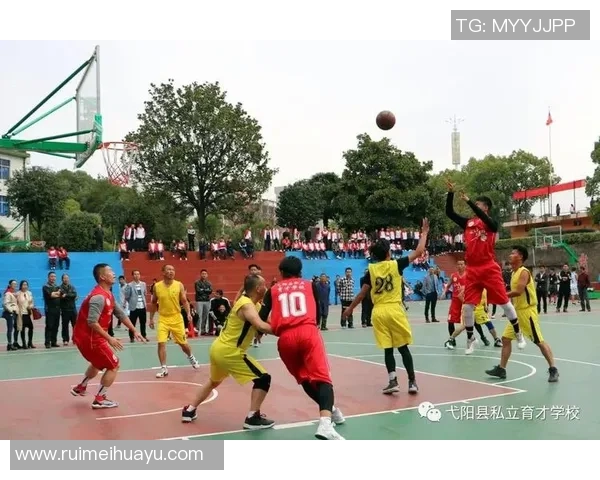 深入分析杭州羽毛球队独特的边路渗透战术及其战术优势